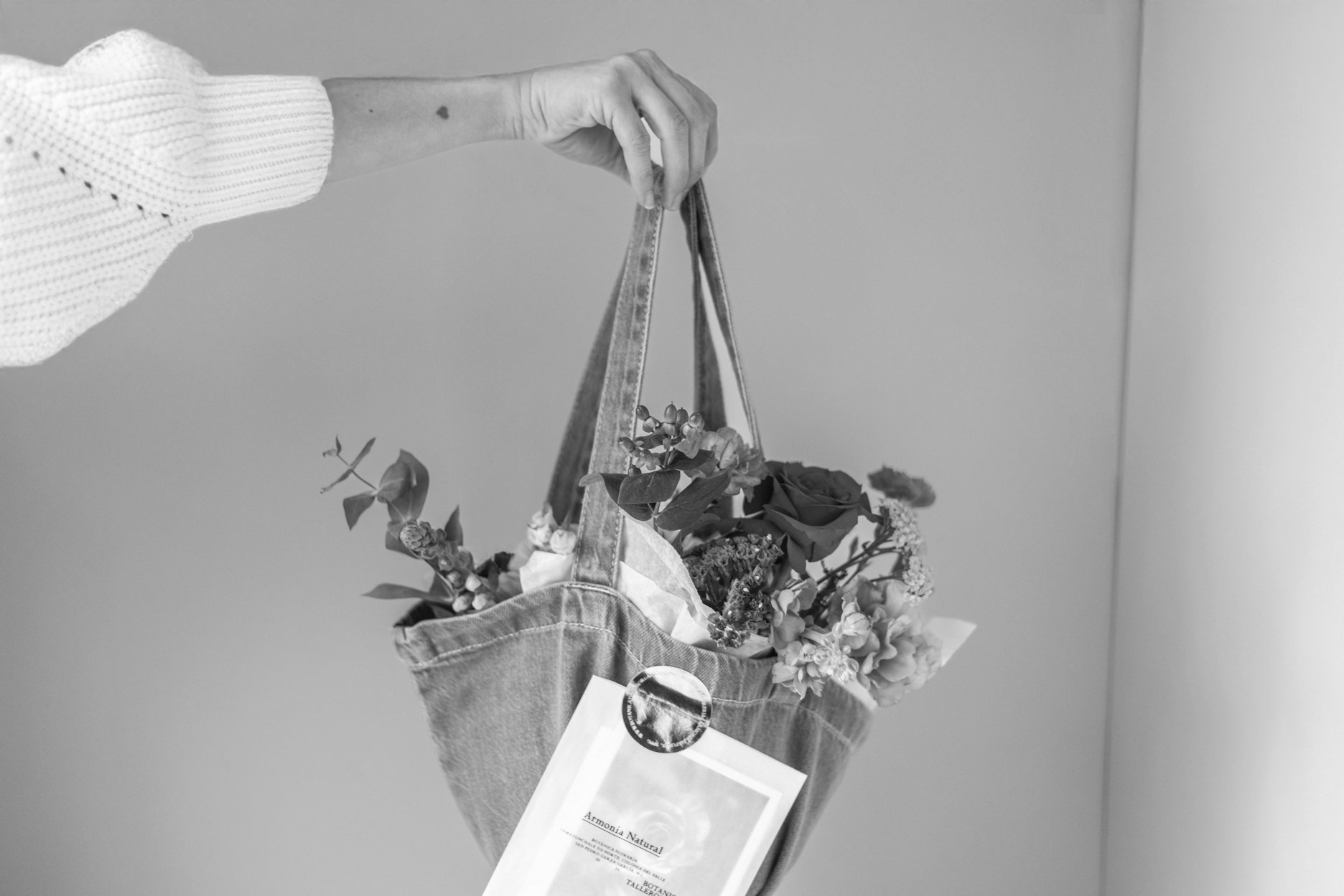 PRODUCTOS 7